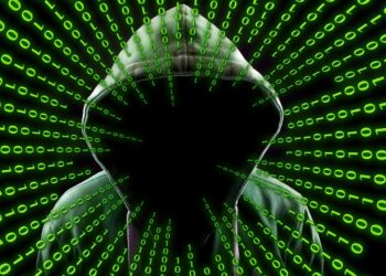 Shiba Inu team raises concern of scam; community warned not to share private keys