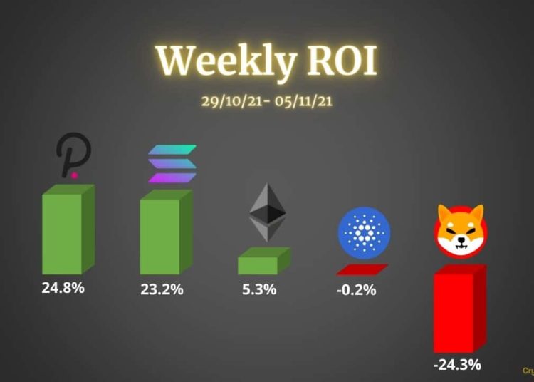 Ethereum, Cardano, Polkadot, Solana, and Shiba Inu