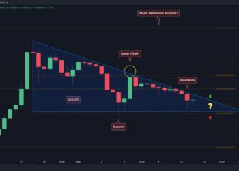 SHIB at a Critical Point Following 5% Daily Loss
