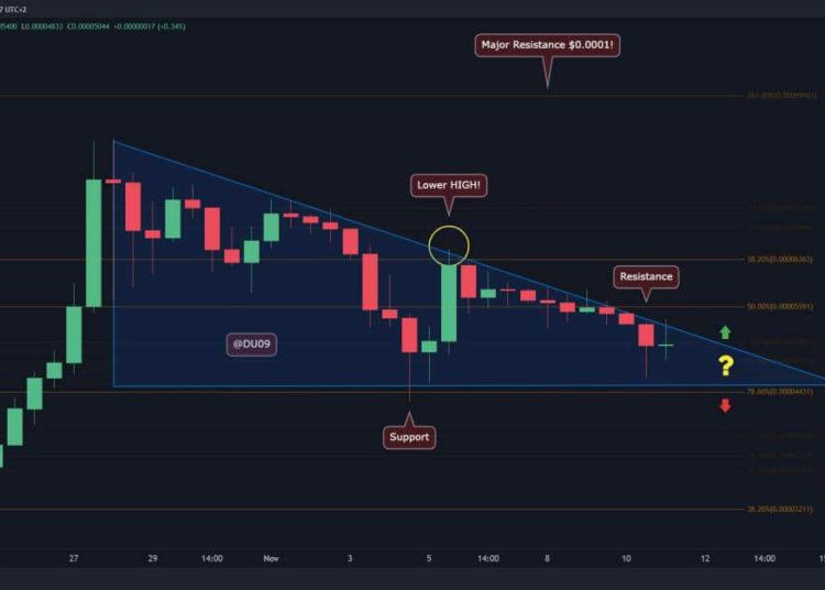 SHIB at a Critical Point Following 5% Daily Loss