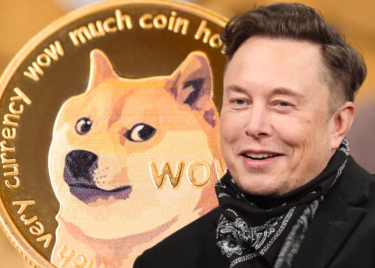 Elon Musk Calls Binance’s Dogecoin Problem ‘Shady’ — Says He’s Raising the Issue on Behalf of Other DOGE Holders – Altcoins Bitcoin News