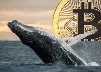 While BTC Skyrocketed to $69K, Whale From 2013 Transfers $147 Million Worth of ‘Sleeping Bitcoins’ – Bitcoin News