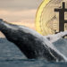 While BTC Skyrocketed to $69K, Whale From 2013 Transfers $147 Million Worth of ‘Sleeping Bitcoins’ – Bitcoin News