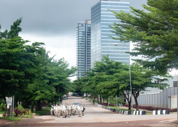 Nigerian Central Bank Intensifying Fight Against Cryptocurrency Traders – Emerging Markets Bitcoin News