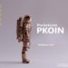 Pocketcoin (PKOIN) Is Now Available for Purchase With Visa/Mastercard and 19 Different Cryptos – Sponsored Bitcoin News