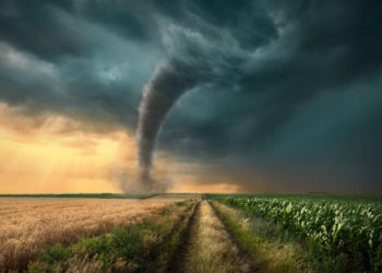 Privacy-Centric Crypto Mixing Protocol Tornado.cash Plans to Deploy on L2 Platform Arbitrum – Privacy Bitcoin News