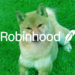 Shiba Inu (SHIB) community pushes hard for Robinhood listing