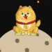 Rocky Inu (ROCKY) Officially Launches On Binance Smart Chain