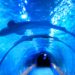 Shark Tank investor Kevin O’Leary says crypto portfolio at almost 10%