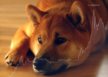 What next for Shiba Inu (SHIB) following its 50% crash?