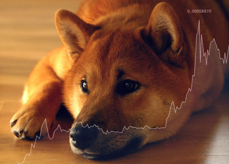 What next for Shiba Inu (SHIB) following its 50% crash?