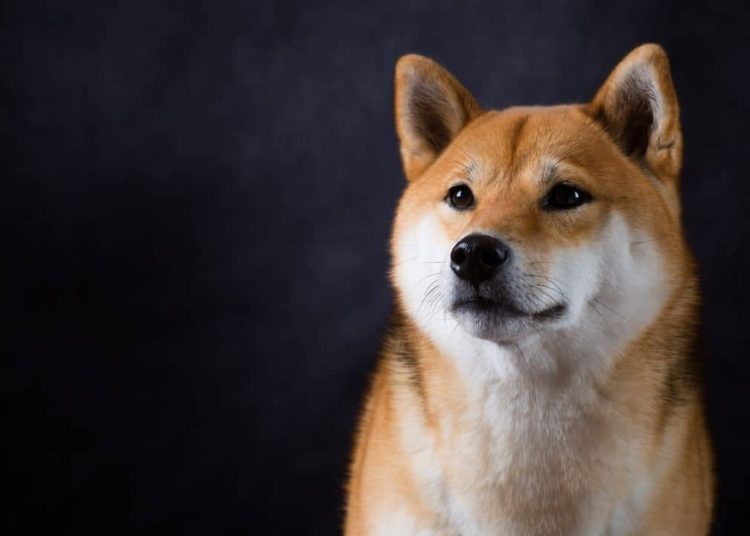 Shiba Inu (SHIB) is the 5th Most Called Smart Contract on Ethereum