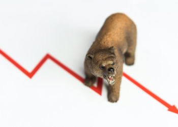 Crypto Economy Slides 8% in Value Shaking Out Billions, Blame Placed on New Covid Variant – Market Updates Bitcoin News