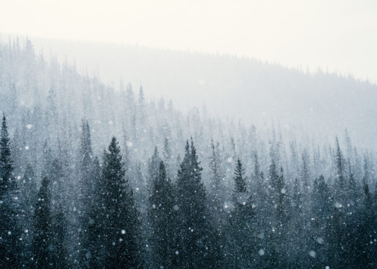 Avalanche Foundation Launches $200 Million Blizzard Fund to Entice Innovation on Its Chain – Altcoins Bitcoin News