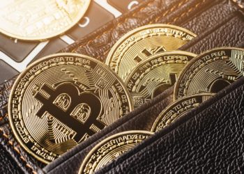 Finiko Fugitives Suspected of Moving 750 BTC From Crypto Pyramid’s Wallet – Bitcoin News