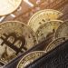 Finiko Fugitives Suspected of Moving 750 BTC From Crypto Pyramid’s Wallet – Bitcoin News