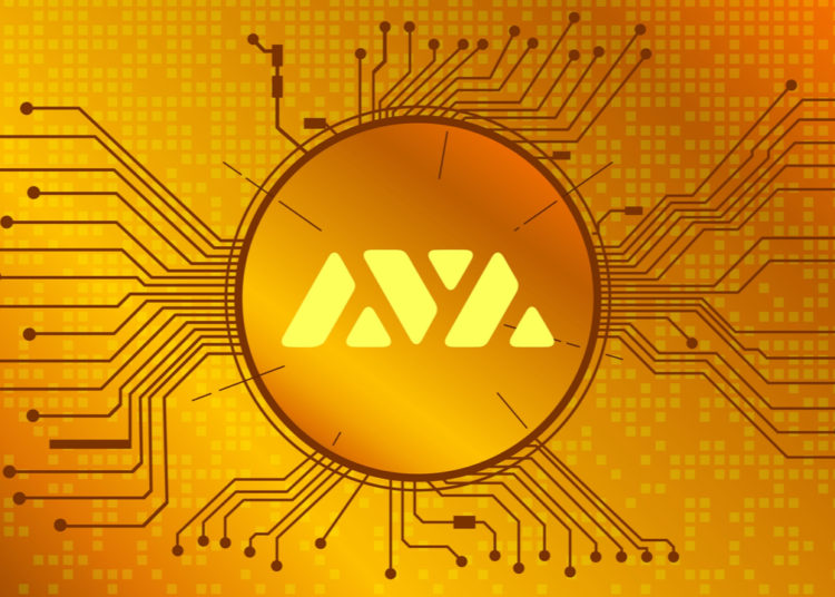 Largest Stablecoin by Market Cap Tether Launches on the Avalanche Network – Altcoins Bitcoin News
