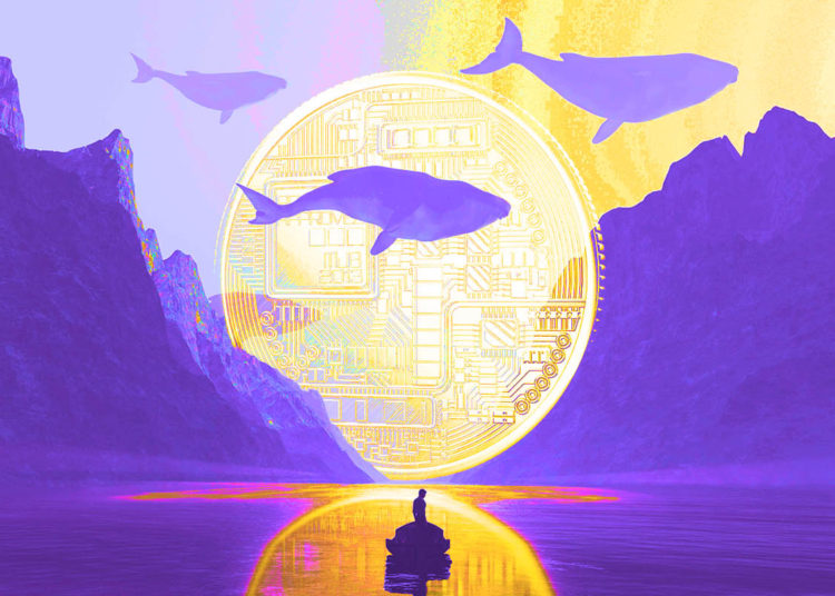 Richest Ethereum Whales in Existence Are Accumulating New Play-To-Earn Altcoin, According to WhaleStats