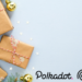 The Greatest Holiday Gift of All: Winning a Polkadot Parachain