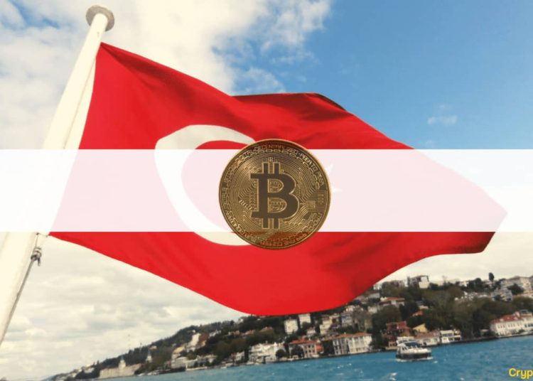 Turkey President Announces a Cryptocurrency Bill, Speaks of a New Economic Model