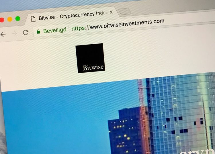 Bitwise Adds Blue-Chip NFT Index Funds to its Big Bag