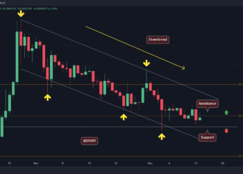 SHIB Rests on Critical Support Following 8% Weekly Drop, What’s Next?