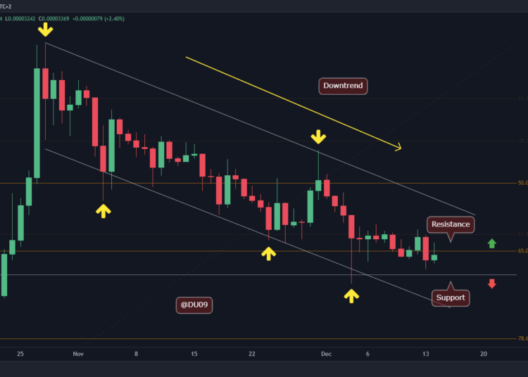 SHIB Rests on Critical Support Following 8% Weekly Drop, What’s Next?
