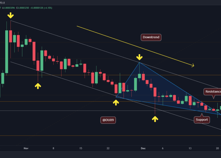 SHIB At a Critical Decision Point Following 10% Daily Surge