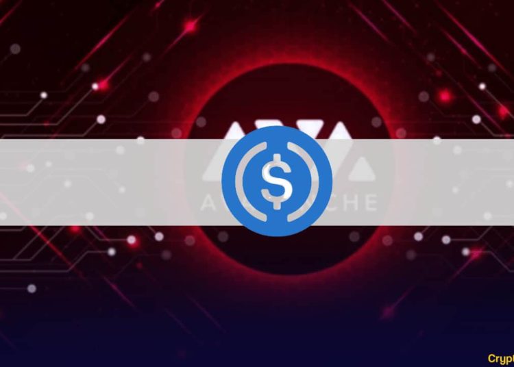 Circle’s USDC Goes Live on Avalanche to Empower the DeFi Ecosystem