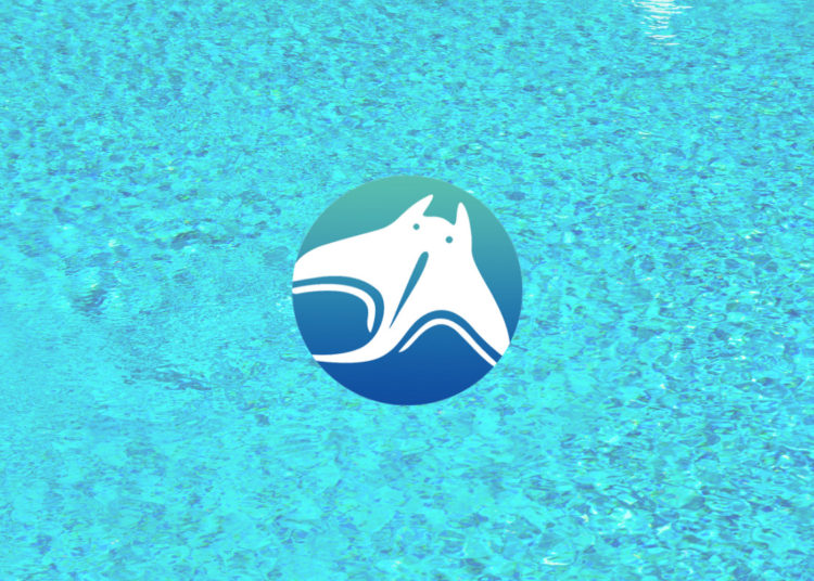 Manta Network Community Gains Access to New Features with Dolphin Testnet Roll Out