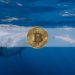 Bitcoin Whale Wealth Control Highlights Currency Centralization: Report