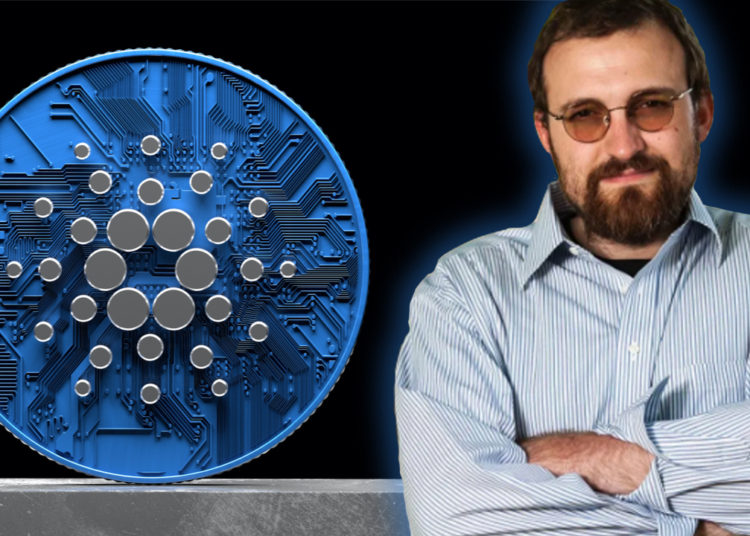 Charles Hoskinson Discusses Cardano’s 2022 Plans, Founder Says Project ‘Needs Institutions to Have Stake in the Success of ADA’ – Altcoins Bitcoin News