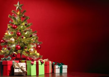 Merry Christmas from Crypto News Flash