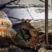 Crypto firms call on U.S Congress to move with the times amid regulatory mismanagement