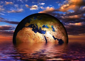 How these New Zealand women are using NFTs to fight climate change