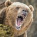 Market Analyst Says ‘Whole Crypto Sphere Is in a Bear Market’ as Prices Continue to Slide Lower – Market Updates Bitcoin News