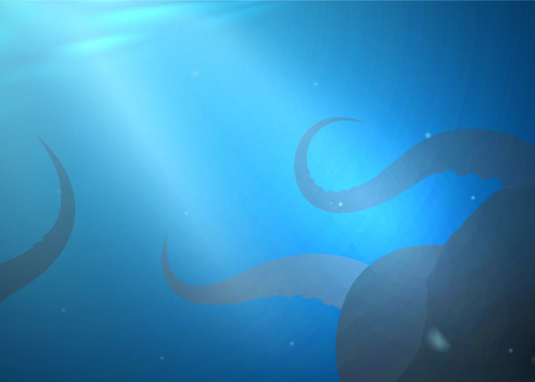 Kraken Ventures Raises $65 Million to Invest in Web3, Defi, Blockchain Startups and Protocols – News Bitcoin News