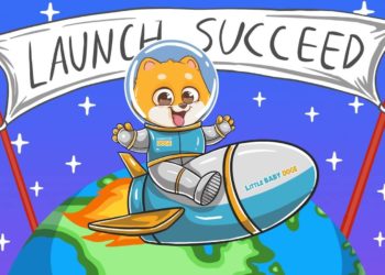 Little Baby Doge x Water.org Support: A Crypto Donation to Fight the Global Water Crisis