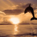 Ethereum Market Cap Is Less Than 50% Away From Flipping Bitcoin — ETH Nears All-Time Price High – Market Updates Bitcoin News