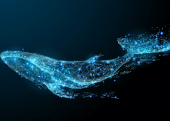 Blockchain Parser Catches Significant Amounts of ‘Cold BTC’ Moved to Active Exchanges – Featured Bitcoin News