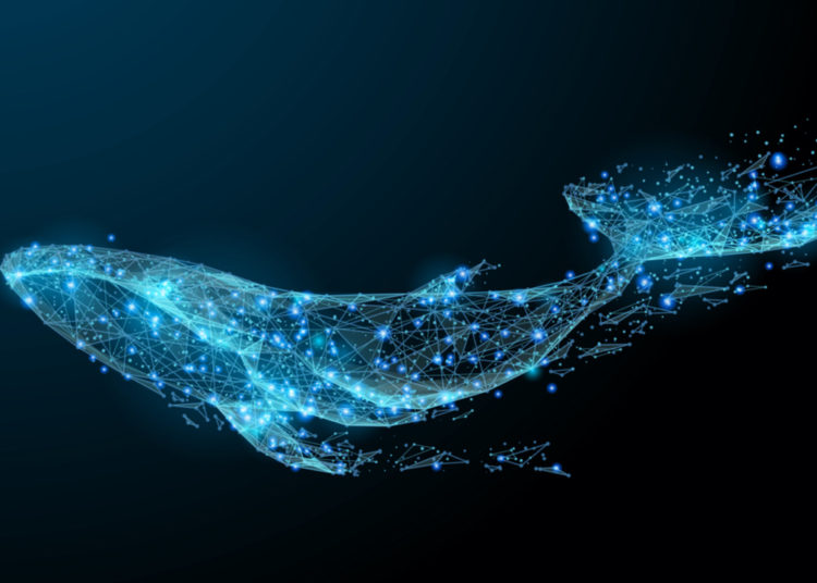 Blockchain Parser Catches Significant Amounts of ‘Cold BTC’ Moved to Active Exchanges – Featured Bitcoin News