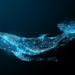 Blockchain Parser Catches Significant Amounts of ‘Cold BTC’ Moved to Active Exchanges – Featured Bitcoin News