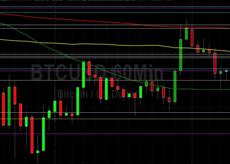 BTC/USD Bulls Eyeing 51503 Technical Resistance: Sally Ho’s Technical Analysis 20 December 2021 BTC