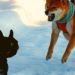 Shiba Inu Soap Opera: War Of Word Erupts Between Prominent Accounts