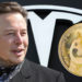 Dogecoin Soars After Elon Musk Announces Tesla Will Accept DOGE – Altcoins Bitcoin News