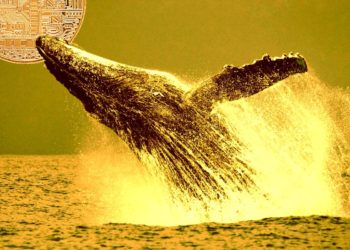 Whales Are Amassing Two Ethereum-Based Altcoins As Bitcoin and Crypto Consolidation Continues