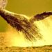 Whales Are Amassing Two Ethereum-Based Altcoins As Bitcoin and Crypto Consolidation Continues