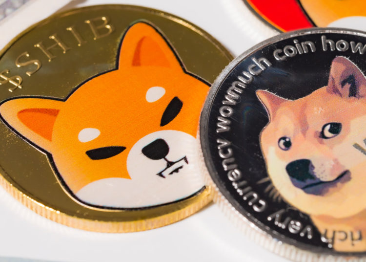 ‘Wolf of Wall Street’ Jordan Belfort Warns About Investing in Dogecoin and Shiba Inu Cryptocurrencies – News Bitcoin News