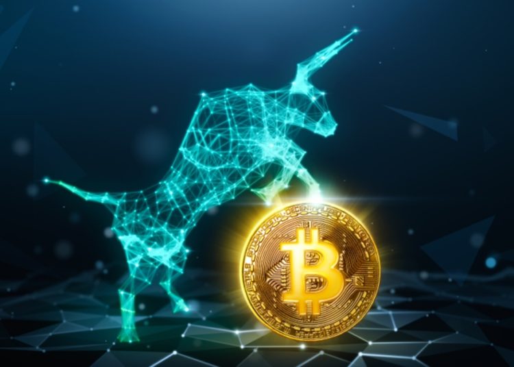 Bitcoin Bulls Should Gear Up, SEBA CEO Predicts $75K ATH in 2022