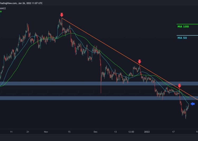 Despite the Impressive Correction, Fear is Still Around